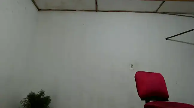 Snapshot of fernandez_latinblackk chatting on 12-04-24, 11:02 fernandez latinblackk online show from 12-04-24, 11:02