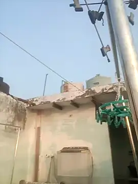 Snapshot of sailord chatting on 01-29-25, 11:30 sailord online show from 01-29-25, 11:30