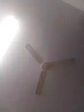 jenilmax online show from 12-16-24, 04:49