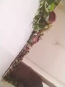 jenilmax online show from 03-31-26, 01:22