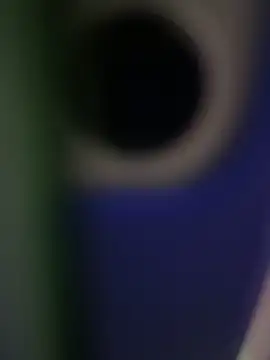 rodrigo21Cm  online show from 02-14-25, 09:32