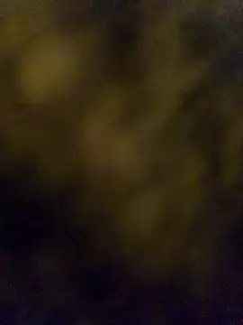 Snapshot of LSD321@xh chatting on 10-05-25, 05:55 LSD321xh online show from 10-05-25, 05:55