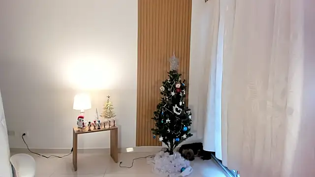  Sam sexy  online show from 12-28-24, 09:08