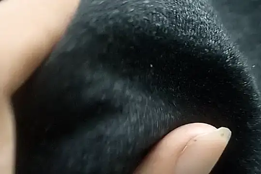 Snapshot of Telugu_sollakaya chatting on 12-02-24, 06:43 Telugu sollakaya online show from 12-02-24, 06:43