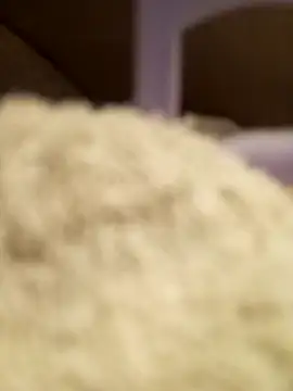 FlacoDani online show from 04-28-26, 04:45