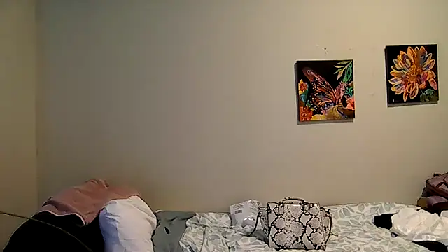 housewife shantie online show from 05-11-26, 02:45