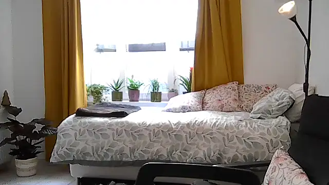 housewife shantie online show from 07-20-26, 10:50