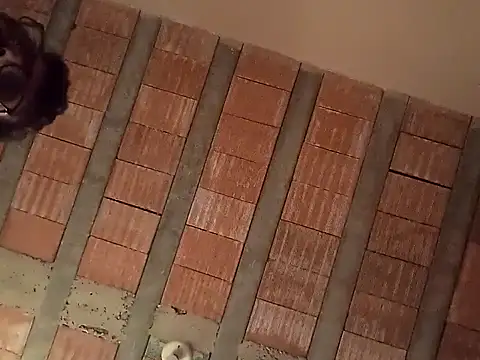 jtf4055 online show from 09-13-25, 09:42