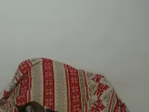 Hannabeckboobs online show from 01-12-25, 05:03