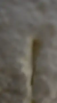 tuty Tap online show from 12-07-24, 05:31