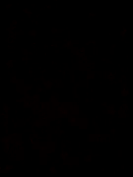 Feli230990 online show from 10-08-25, 07:50