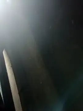 Kajaldx online show from 01-12-26, 06:24