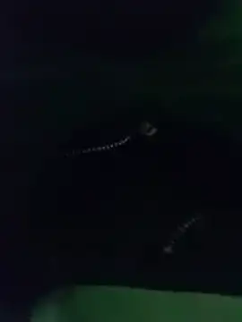 Snapshot of thanos65432 chatting on 03-18-26, 05:32 thanos65432 online show from 03-18-26, 05:32