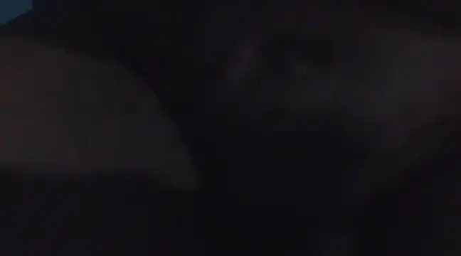 Penis58 online show from 12-16-24, 11:39