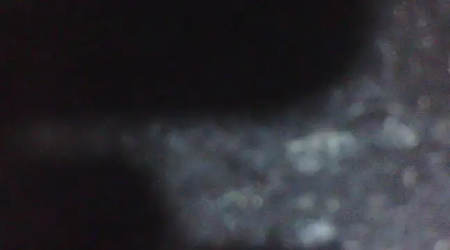 Penis58 online show from 02-10-25, 06:56