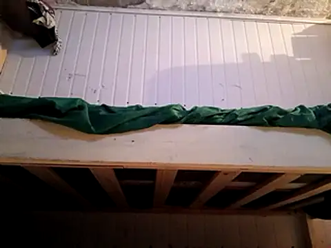 frotasso online show from 02-16-25, 05:48