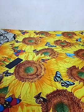 bhavanitelu online show from 12-28-24, 11:30