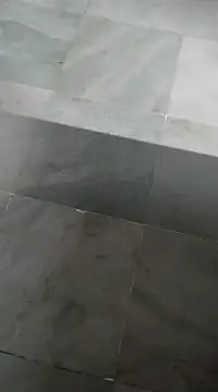 bhavanitelu online show from 03-12-25, 09:44