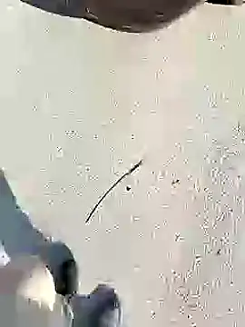 chootkapyasa007 online show from 01-27-25, 10:06