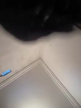 Snapshot of hot_girl_dina chatting on 02-08-25, 11:01 hot girl dina online show from 02-08-25, 11:01