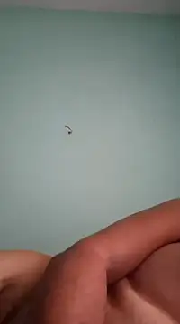 Snapshot of alexjs84 chatting on 12-16-24, 11:12 alexjs84 online show from 12-16-24, 11:12