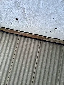 Snapshot of alexjs84 chatting on 11-22-25, 03:44 alexjs84 online show from 11-22-25, 03:44