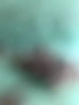 Indiancockmilk online show from 01-31-25, 06:35