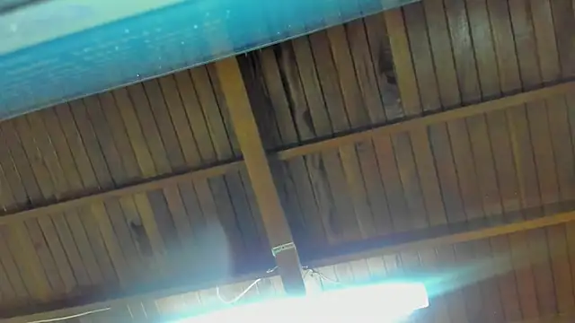 jeicob gagnon online show from 09-15-25, 02:00