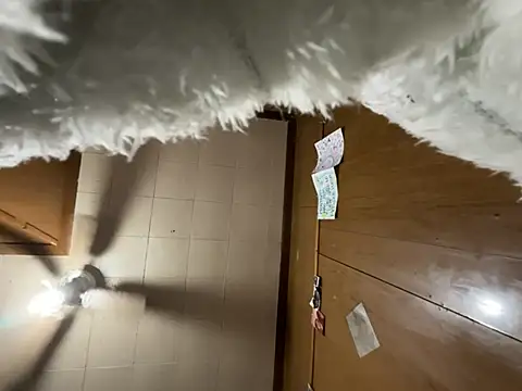 carmelbbyx22 online show from 03-29-26, 12:38