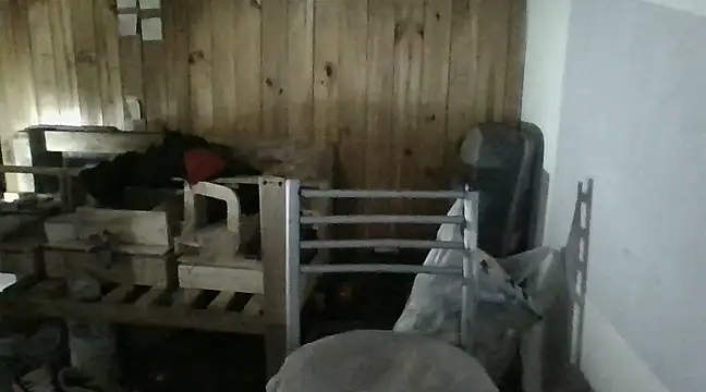 Snapshot of italianbighorse22 chatting on 01-18-25, 06:03 italianbighorse22 online show from 01-18-25, 06:03