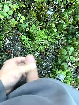 BobMeinster online show from 11-21-25, 01:32