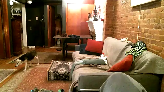 Johnny Bottoms online show from 12-21-24, 01:04