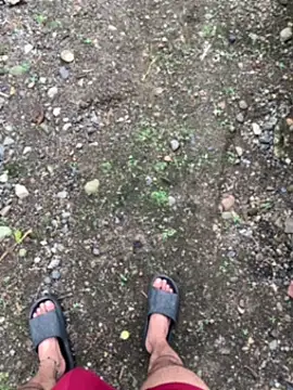 seven7xis online show from 01-01-25, 09:09