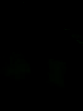 andreiwhite2  online show from 12-18-25, 12:06