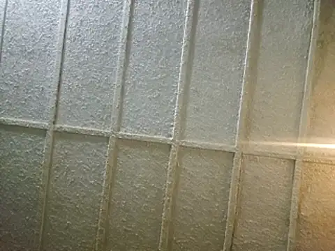 zaneporter46 online show from 02-08-25, 03:52