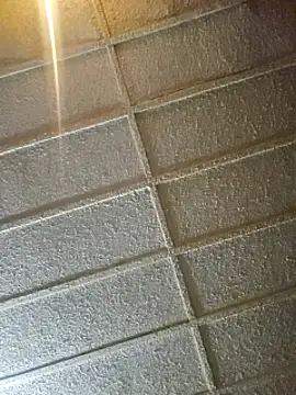 zaneporter46 online show from 02-08-25, 09:56