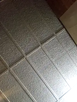 zaneporter46 online show from 02-16-25, 02:21