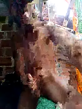 Andres123cv online show from 04-15-26, 04:25