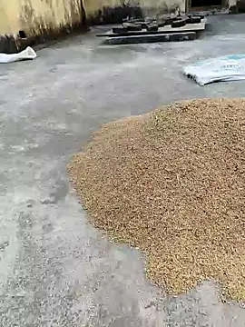 sweet suman online show from 01-18-25, 11:21