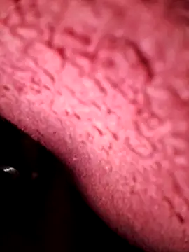 Snapshot of BigSnack123 chatting on 01-27-25, 05:37 BigSnack123 online show from 01-27-25, 05:37