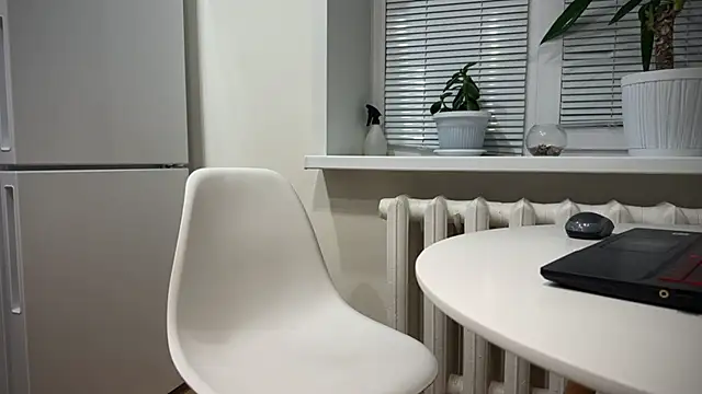 Snapshot of BrendanSilvers chatting on 12-25-24, 11:20 BrendanSilvers online show from 12-25-24, 11:20