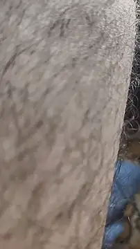 niyack69 online show from 01-31-26, 11:03