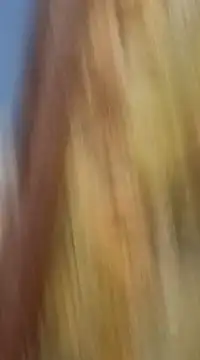 mksharma-mastlund online show from 01-21-25, 03:48