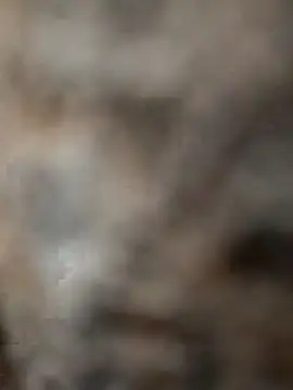 mksharma-mastlund online show from 01-24-25, 04:05