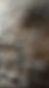 mksharma-mastlund online show from 01-27-25, 03:47