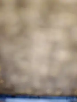 Snapshot of 618fuckupp chatting on 10-27-25, 11:25 618fuckupp online show from 10-27-25, 11:25