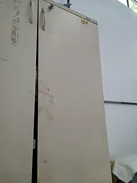 tesaodaweb online show from 02-21-26, 10:16