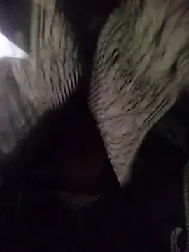 muskan-Sharma online show from 03-18-25, 04:04