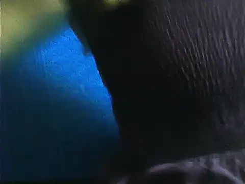 Tamil Vishalini online show from 11-28-25, 07:11