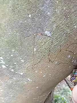 BELLA--26 online show from 02-02-25, 03:07